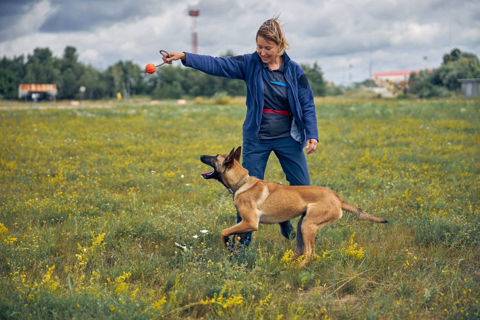 are dogs easier to train