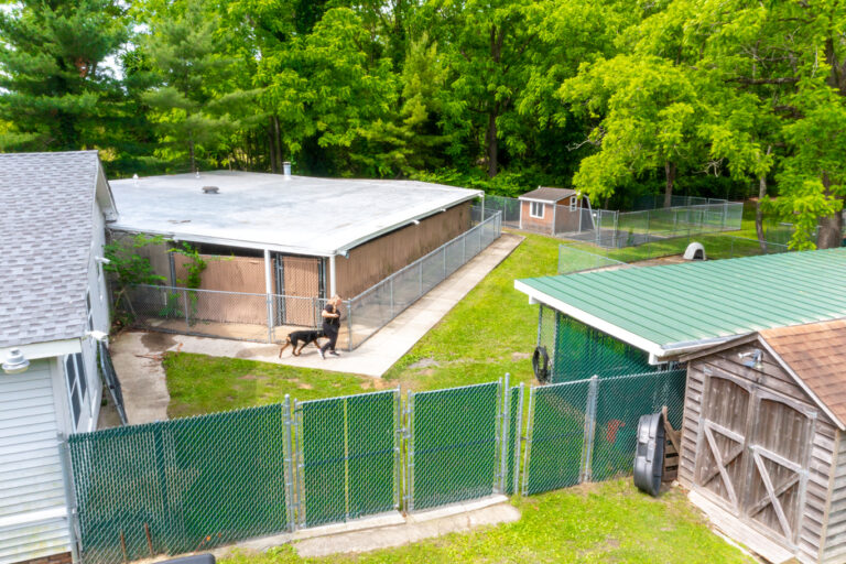 an aerial view of a dog in a fenced in yard