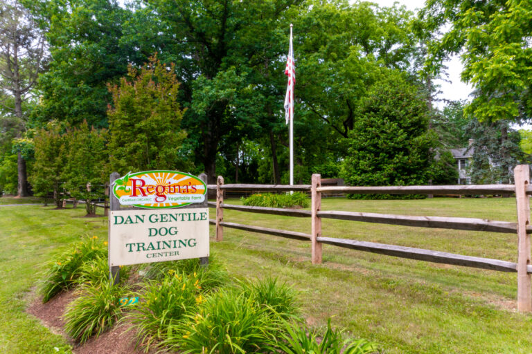 a sign for a dog training center in a fenced in area