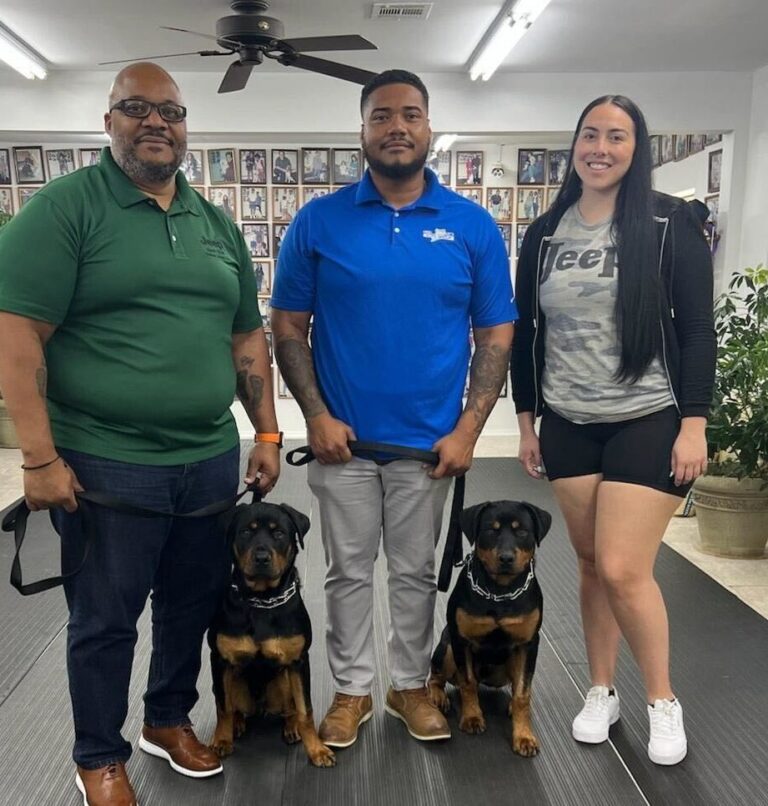 a group of people standing next to two dogs