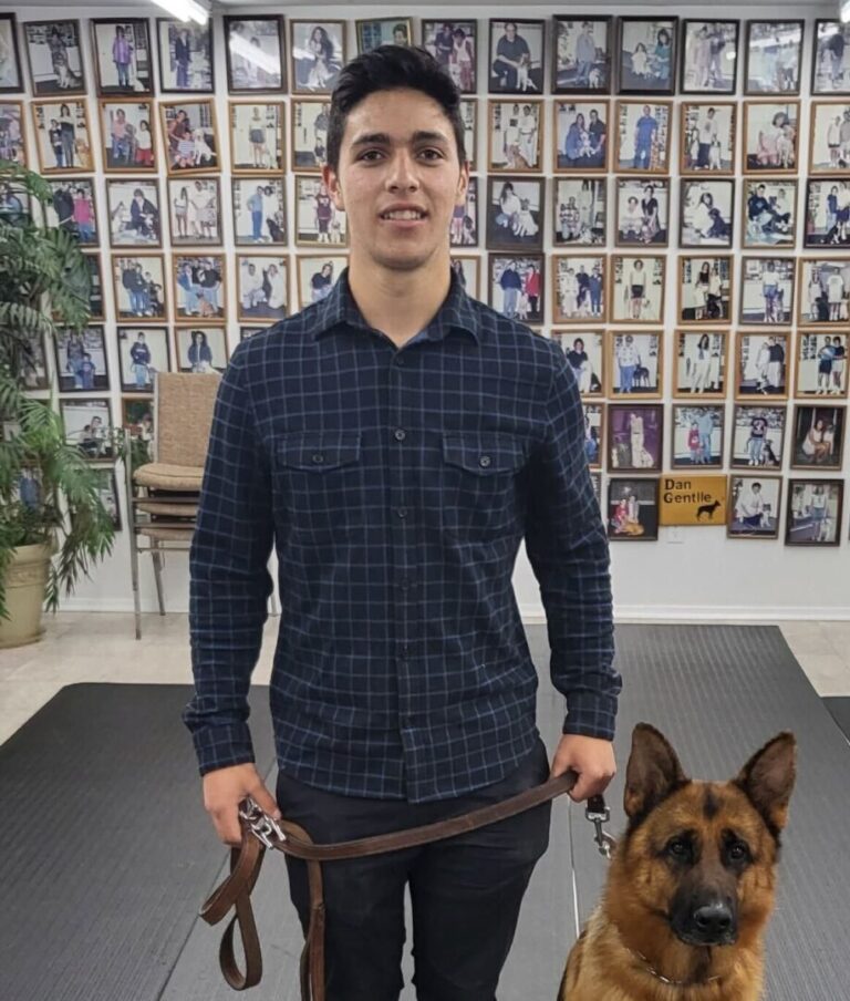 a man holding a leash with a dog on a leash