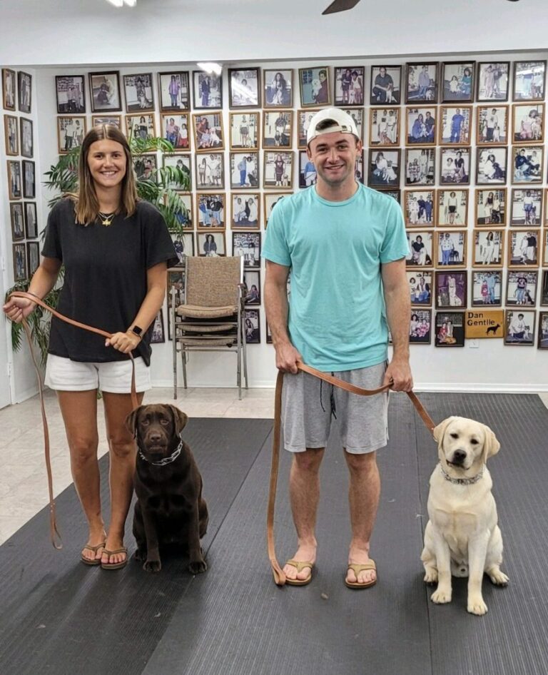 a man and a woman holding two dogs on a leash