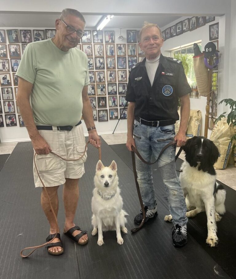 a couple of men standing next to two dogs