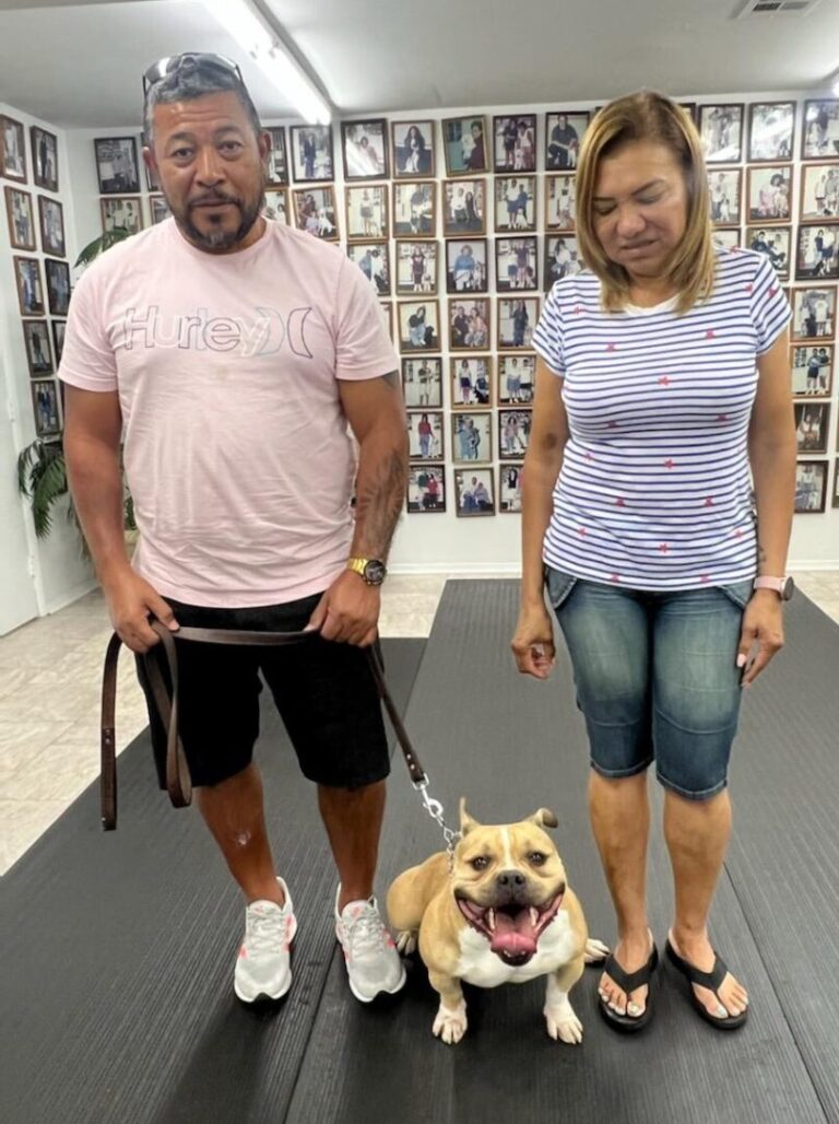 a man and a woman walking a dog on a leash