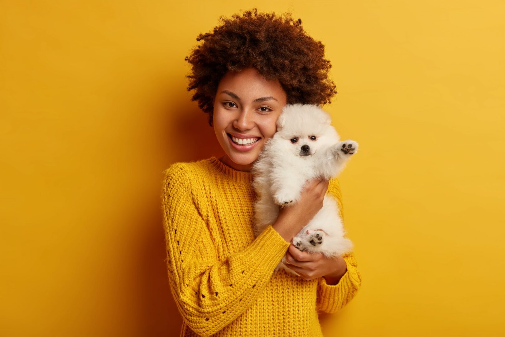 a woman in a yellow sweater holding a white dog