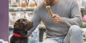 a man sitting on the floor with a dog and a bone in his mouth