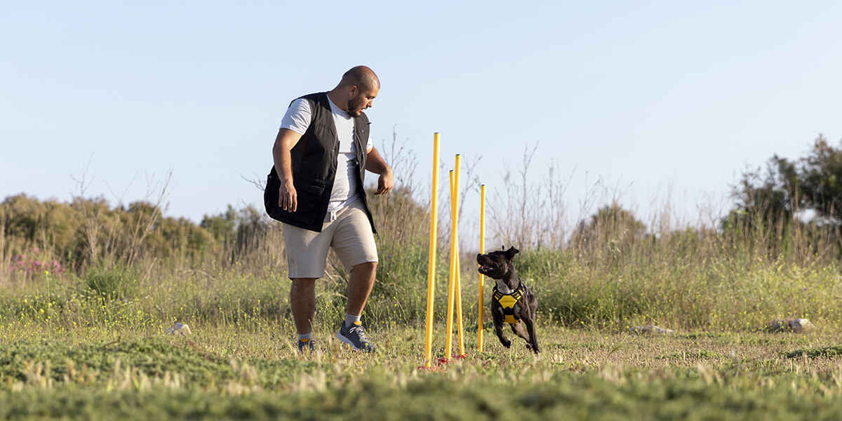 a man and a dog playing with a frisbee