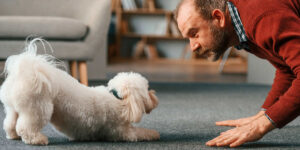 a man playing with a small white dog