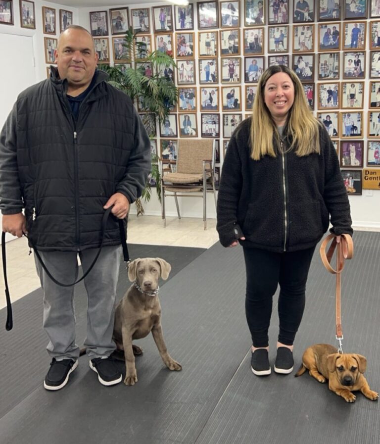 a man and a woman with two dogs