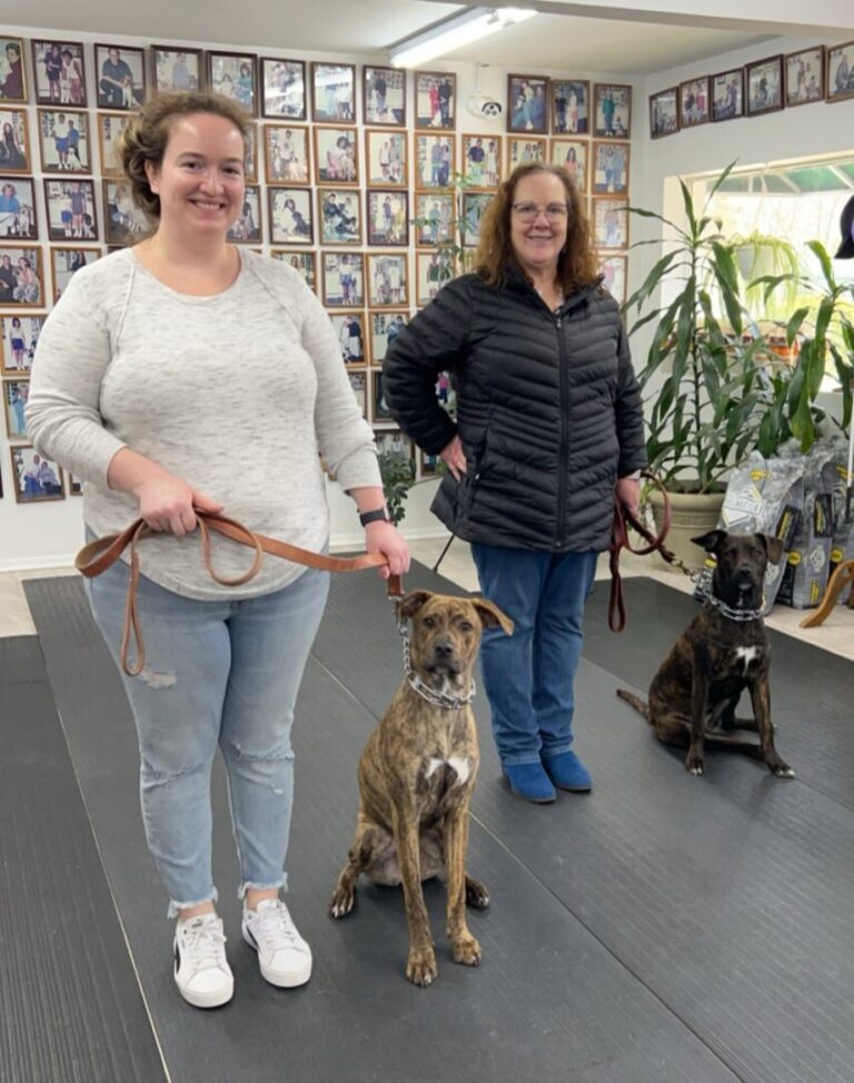 two women are walking their dogs on a leash