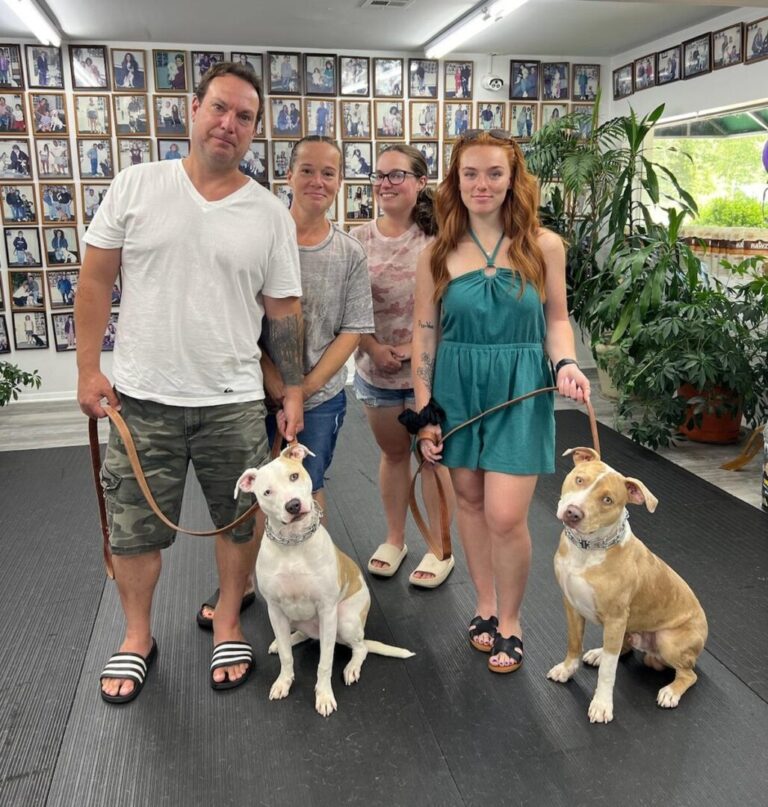 a group of people standing next to two dogs