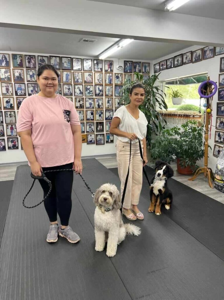 a couple of women standing next to two dogs