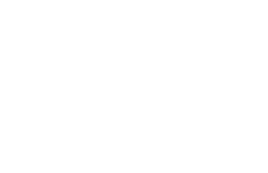 Dan Gentile Logo White -