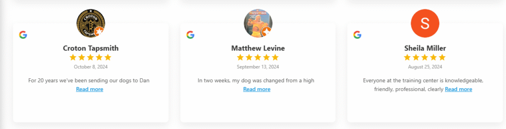 Dog Trainer in Middlesex County review