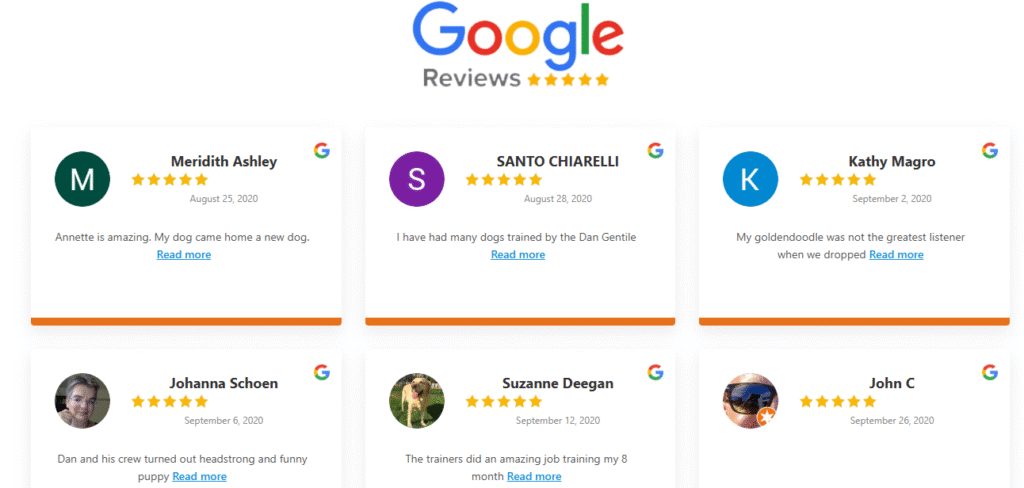 What Clients Are Saying Dog training center review New Jersey