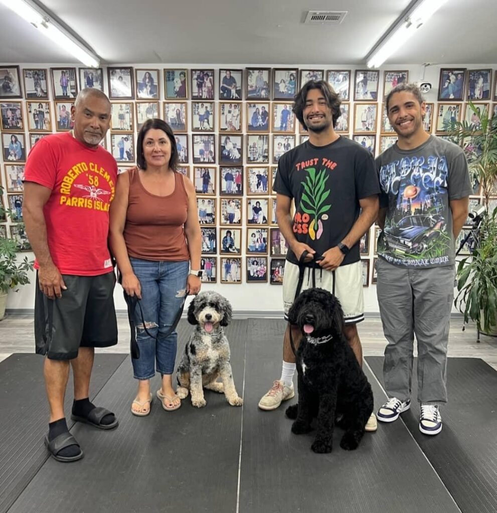 Real Dogs, Real Results: A Veteran-Owned Business You Can Trust