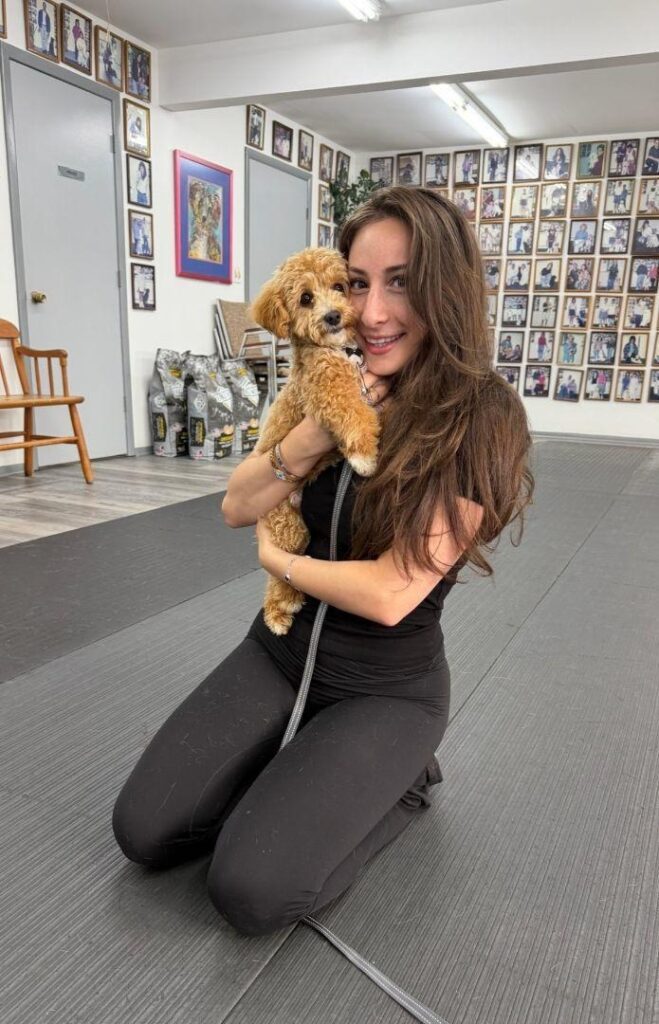 Dog leash pulling training in Monmouth County