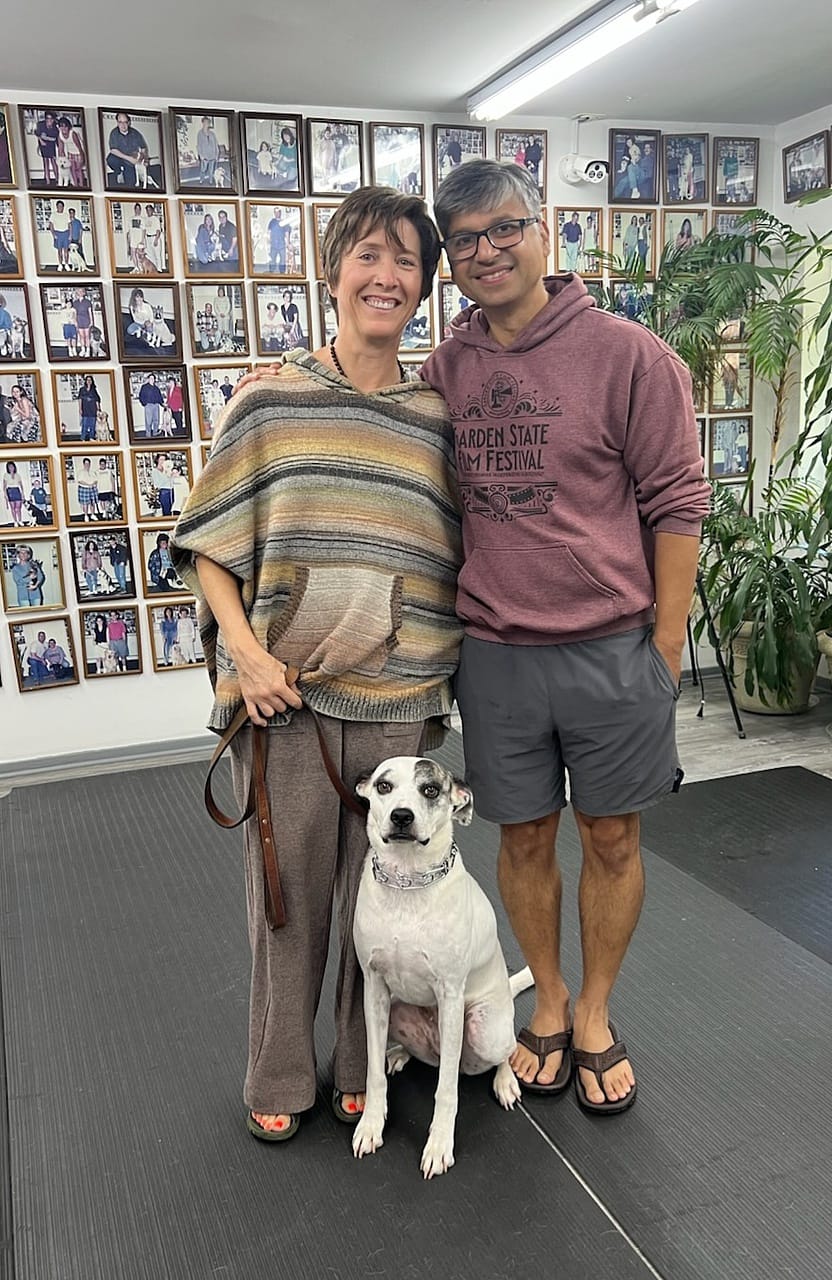 Dog obedience transformation